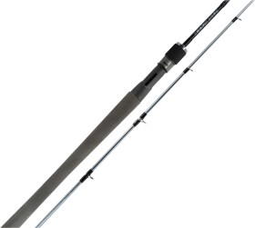Up-to-40-off-Regular-Price-on-Daiwa-TD-Saltwater-Rods on sale