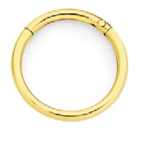 9ct-Gold-1x8mm-Nose-Ring on sale