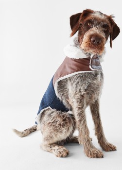 Pet-Faux-Leather-Vest-Extra-Extra-Large-Navy on sale