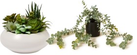 NEW-Openook-Artificial-Plants-Tonal-Succulent-Bowl-or-Silver-Leaf on sale