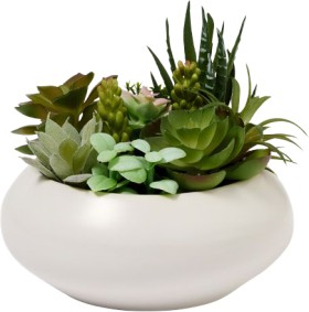 NEW-Openook-Artificial-Plant-Tonal-Succulent-Bowl on sale