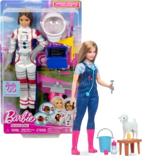 Barbie-Assorted-Career-Fashion-Dolls on sale