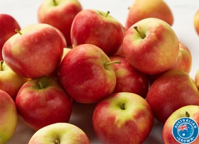 Australian-Kanzi-Apples on sale