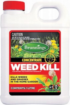 Weed-Kill-Concentrate-1-Litre on sale