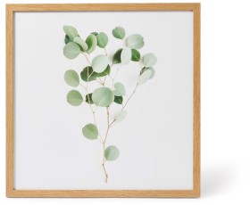NEW-Openook-Gallery-Eucalyptus-Leaves-50cm-x-50cm on sale