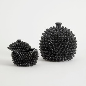 Durian-Black-Jar-Range-by-MUSE on sale