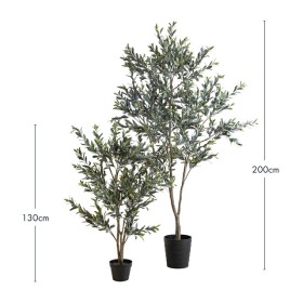Olive-Small-Tree-by-MUSE on sale