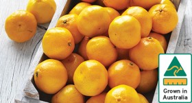 Australian-Imperial-Mandarins on sale