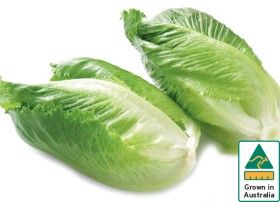 Australian-Cos-Lettuce-Twin-Pack on sale