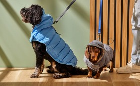 Pet-Nation-Dog-Puffer-Jacket on sale