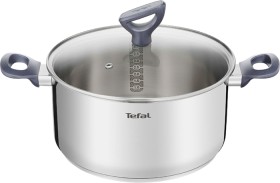 Tefal-Daily-Cook-Stewpot-24cm on sale
