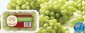 Australian-Specialty-White-Grapes-500g-Pack on sale