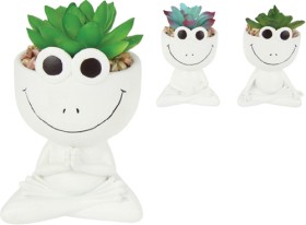 NEW-Sitting-Frog-with-Succulent on sale