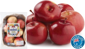 Coles-Australian-Mini-Apples-1kg-Pack on sale