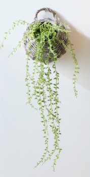 30-off-Plant-In-Hanging-Basket-Green-55cm on sale