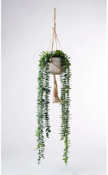 30-off-String-of-Pearls-in-Hanging-Pot-Green-105cm on sale