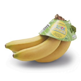 Woolworths-Australian-Kids-Mini-Bananas-Pk-5 on sale
