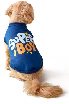 Tails-Pet-Sweater-Super-Boy-30cm on sale