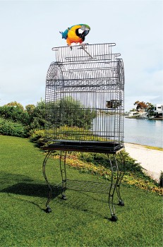 Bird-Cage-with-Stand on sale