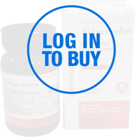 20-off-Septodont-Xylonor-Pellets-Spray-Topical-Anaesthetics on sale