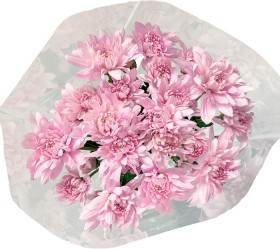 Chrysanthemum-Bunch on sale
