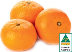 Australian-Imperial-Mandarins on sale
