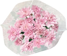 Chrysanthemum-Bunch on sale