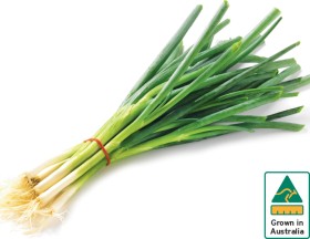 Australian-Eschallots-Spring-Onions-Bunch on sale