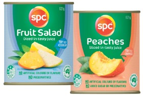 SPC-Fruits-In-Juice-825g-Selected-Varieties on sale
