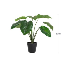 Pothos-Palm-by-MUSE on sale