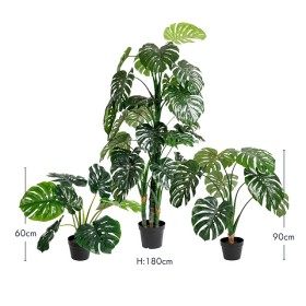 Monstera-Palm-by-MUSE on sale
