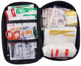 Trafalgar-Passenger-Vehicle-First-Aid-Kit on sale