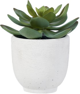 Otto-Planter-Succulent-White on sale