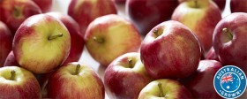 Australian-Modi-Apples on sale