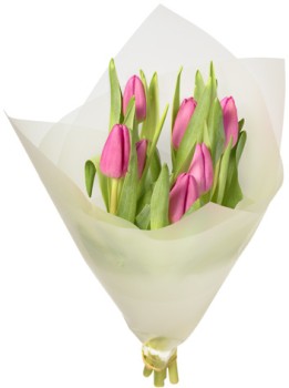 Tulips-8-Stem on sale