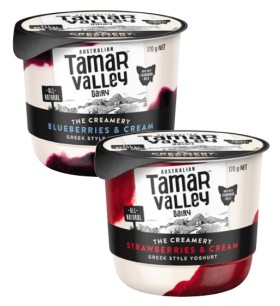 Tamar-Valley-Dairy-The-Creamery-Yoghurt-170g on sale