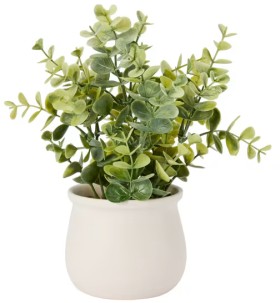 Artificial-Dollar-Gum-Eucalyptus-in-Pot on sale
