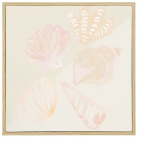 Sea-Shells-Framed-Canvas on sale