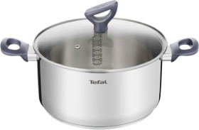 Tefal-Daily-Cook-Induction-Stainless-Steel-Stewpot-24cm-5-Litre on sale