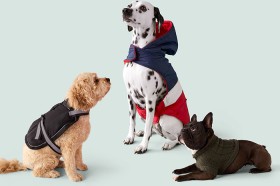 NEW-Tail-Wagging-Winter-Warmth on sale