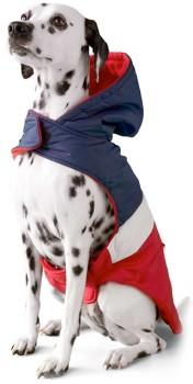NEW-Perfect-Pet-Navy-and-Red-Jacket-50cm on sale