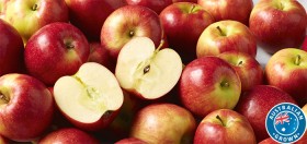 Australian-Jazz-Apples on sale
