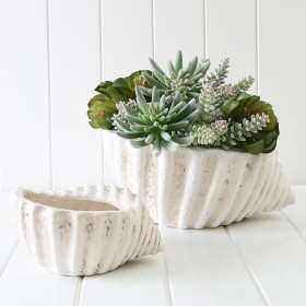 Conch-Bowl-by-MUSE on sale