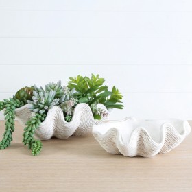 Clam-Shell-Bowl-by-MUSE on sale