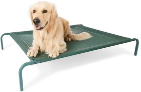 Pet-Bed-Elevated-Large on sale