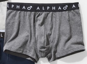 Alpha-Trunk-Grey on sale