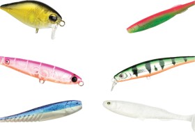 10%25+off+Regular+Price+on+All+Lures+by+Pro+Lure