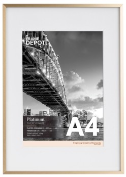 30%25+off+Platinum+A4+Frame