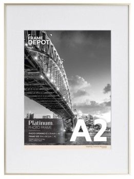 30%25+off+Platinum+A2+Frame