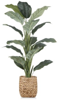 30%25+off+NEW+Bouclair+Large+Potted+Plant